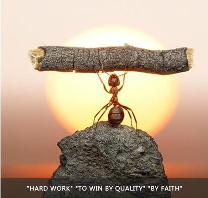 抖圈(中国)为du而生