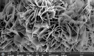 抖圈(中国)为du而生